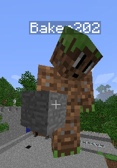 baker202
