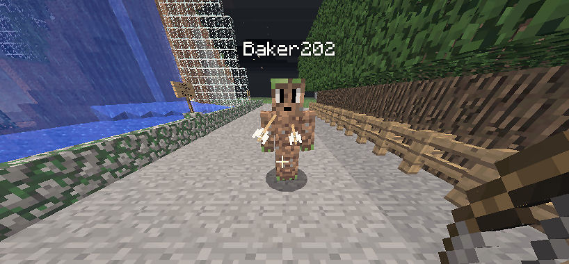 Original image from I shot Baker202 with Arrows!! LMAO #Minecraft @minecraft
