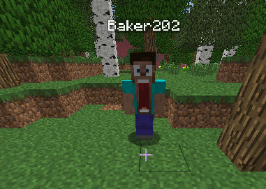 baker20211